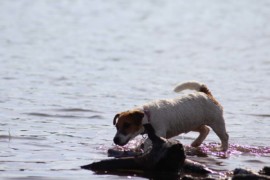 IMG 0398